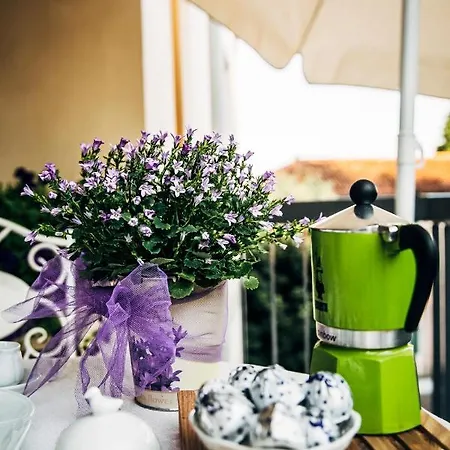 Madison 비토리오베네토